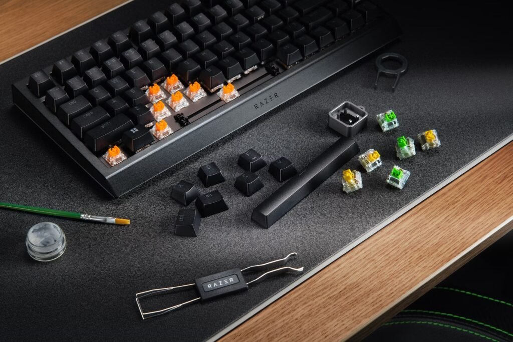 Razer BlackWidow V4 75%